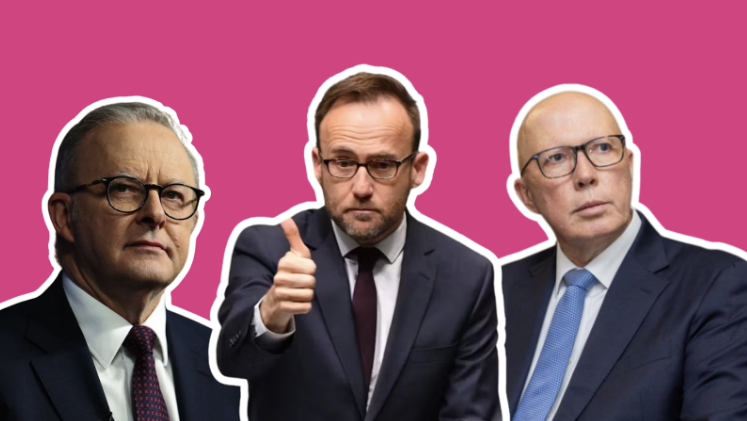Albo’s TikToks travelling well, beating Dutton and Bandt in the TikTok campaign stakes