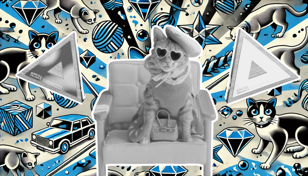AiMCO Awards: Princess Honeybelle proves cat videos continue to rule the internet