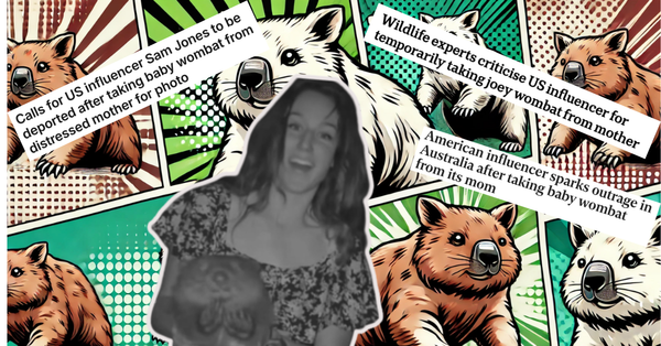 Who is the American influencer capturing global headlines for taking a joey wombat?