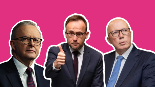 Albo’s TikToks travelling well, beating Dutton and Bandt  in the TikTok campaign stakes