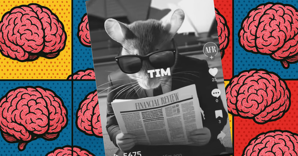 The Liberals' 'Tim Cheese' fires back at AFR over 'brain rot' video claims